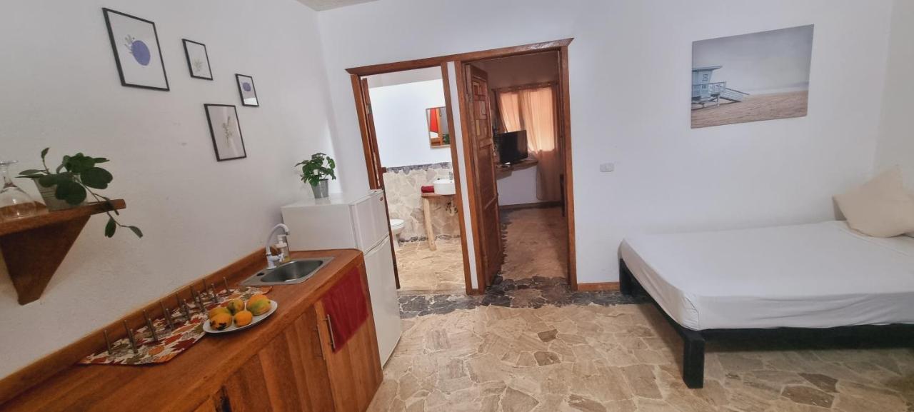 El jardín del coco, apartamento 14 - near La Playita beach Las Galeras Exterior foto